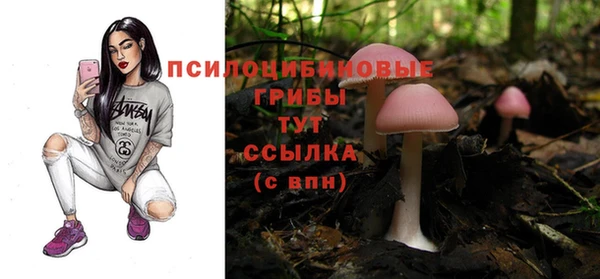 apvp Алексин