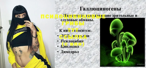 круглые Алексеевка