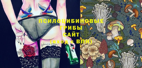 круглые Алексеевка