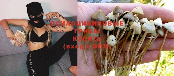 круглые Алексеевка