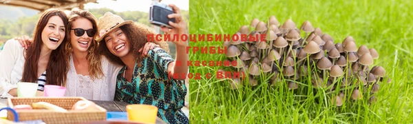 таблы Алзамай